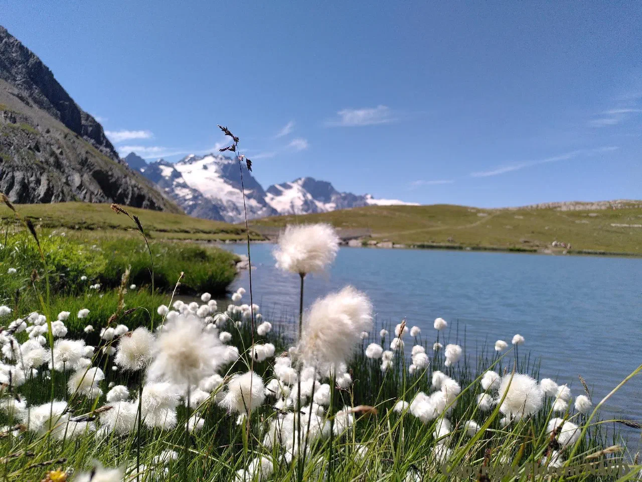 Photo de Crucq des aiguilles