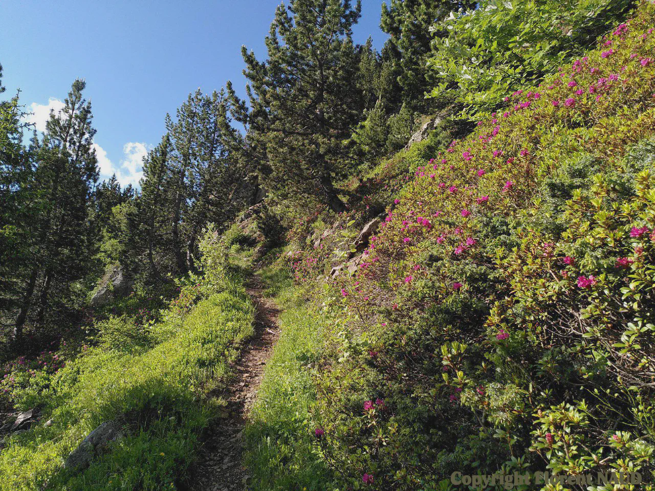 Photo de Tour du Taillefer